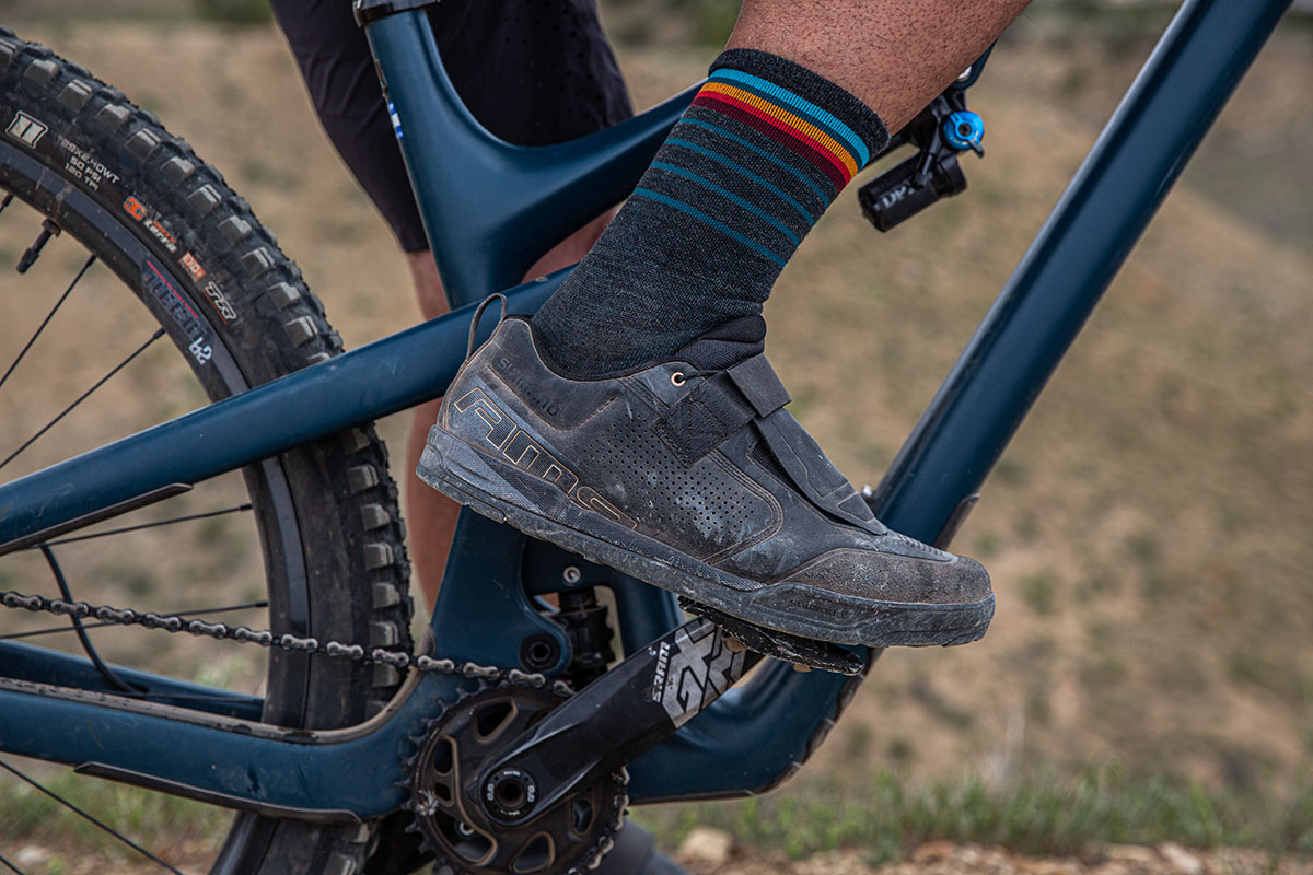 Shimano am91 review 2025